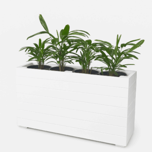 Planter Box