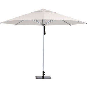 Market Umbrella